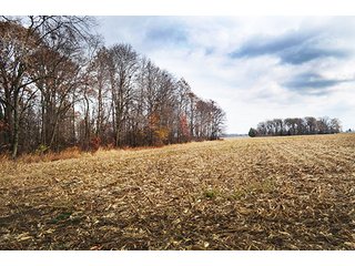 Property photo 11 - LAND AUCTION - 276.5+/- ACRES OFFERED IN 5 TRACTS IN EAST ALLEN COUNTY